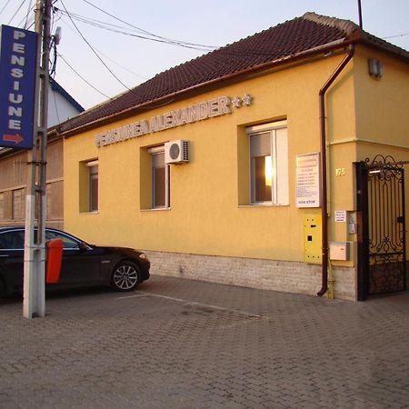 Pensiunea Alexander Arad Bagian luar foto