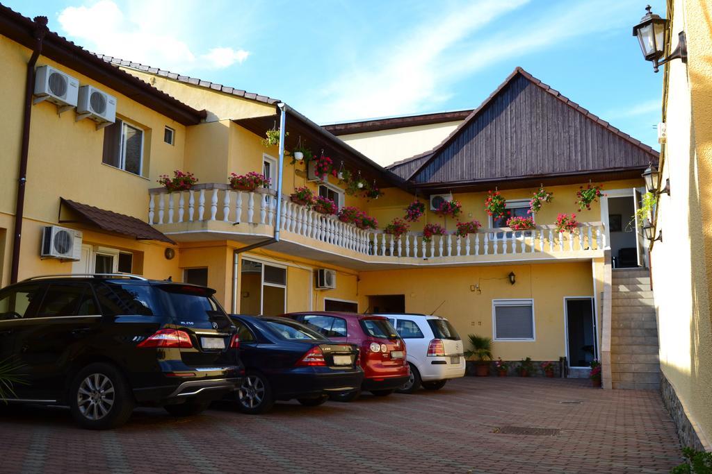 Pensiunea Alexander Arad Bagian luar foto